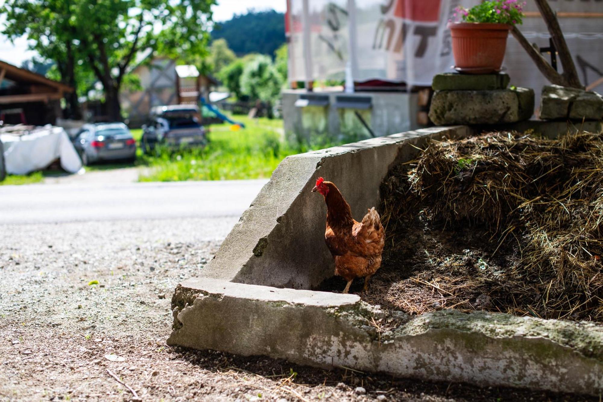 Turisticna Kmetija Grabnar Villa Bled Bagian luar foto